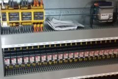 1000010279